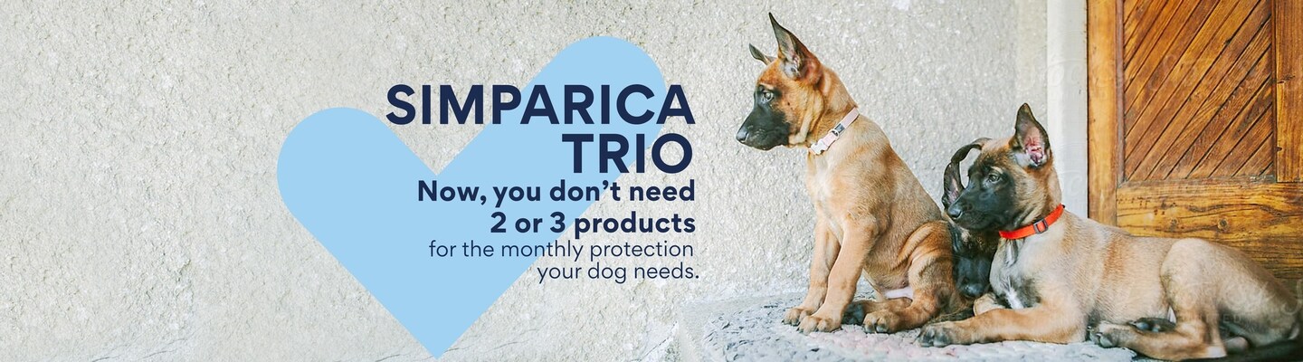 Simparica Trio now, you don't need 2 or 3 products for the monthly protection your dog needs.