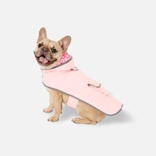 Dog clothing & Accessories