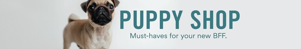Puppy Shop. Must-haves for your new BFF.