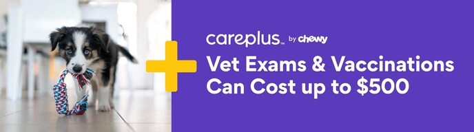 Vet exams & vaccinations can cost up to $500