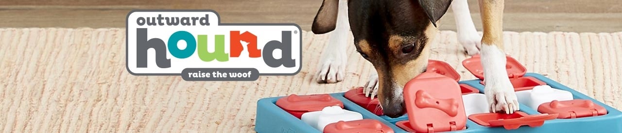 Outward Hound Nina Ottosson Interactive Puzzle Game Dog Toys – Pet