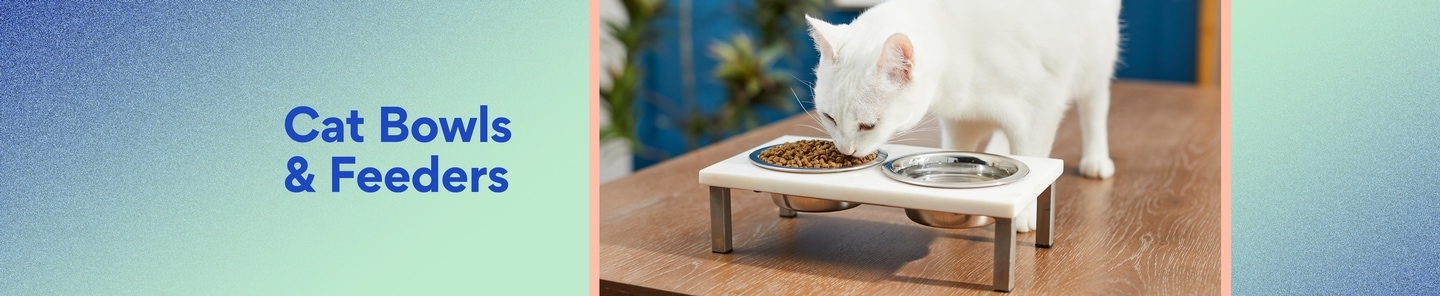 Cat Bowls & Feeders