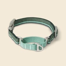 Collars, Leashes & ID Tags