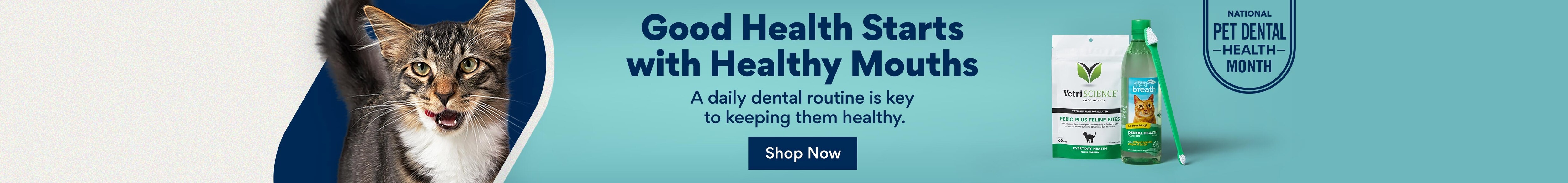 Good health starts wit healthy mouths a daily dental routine is key to keeping them healthy. Shop now.