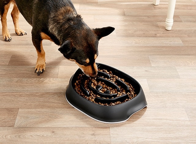 Dog Food bowl Nice Marble Black L
