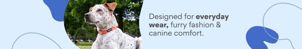 Designed for everyday wear, furry fashion & canine comfort.