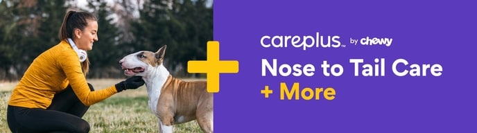 nose to tail care and more. meet our wellness and insurance plans.