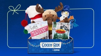 Dog Holiday Gift Box