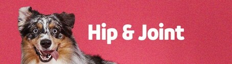 Hip and Joint