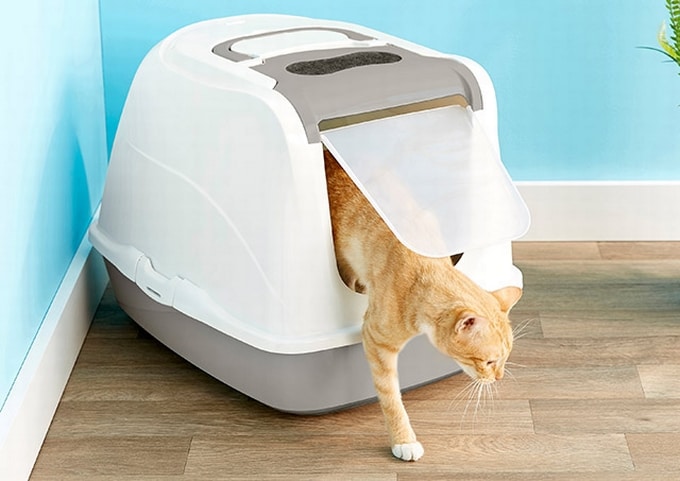 FRISCO Top Entry Cat Litter Box, Gray, Large 23-in - Chewy.com