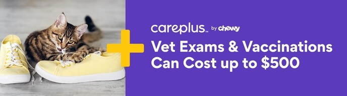 Vet Exams & Vaccinations Can Cost up to $500