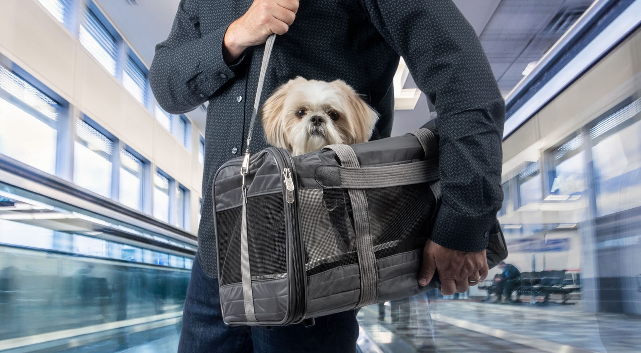 SHERPA Backpack Dog & Cat Carrier, Medium, Gray 