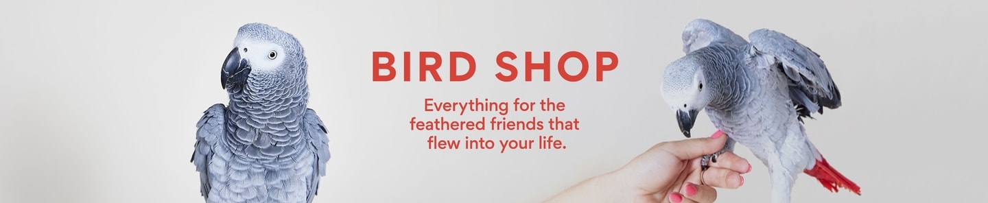 Bird Shop. Everything for the feathered friends that flew into your life.