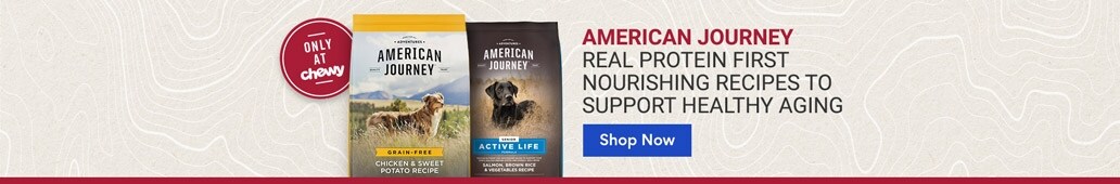 American Journey. Real protein first nourishing recipes to support healthy aging. Shop Now.