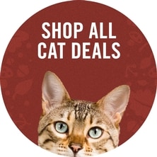 Shop All Cat Deals
