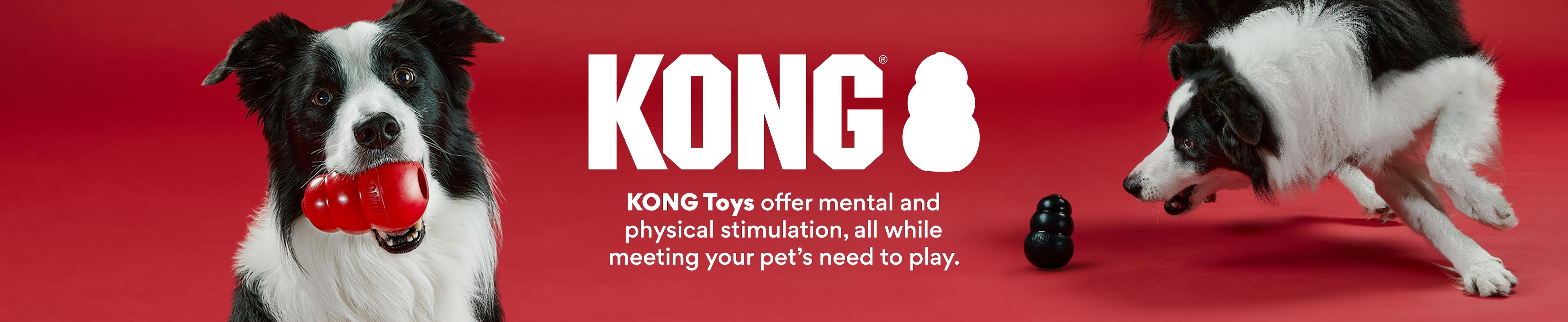 KONG toys offer mental and physical stimulation, all while meeting your pet's need to play.