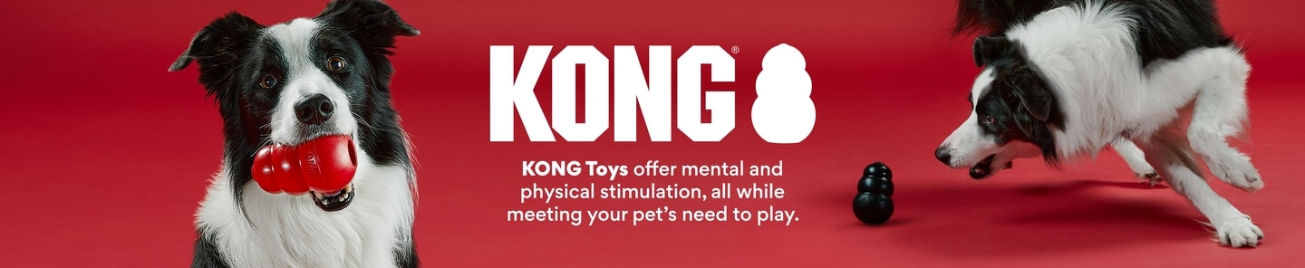 KONG toys offer mental and physical stimulation, all while meeting your pet's need to play.