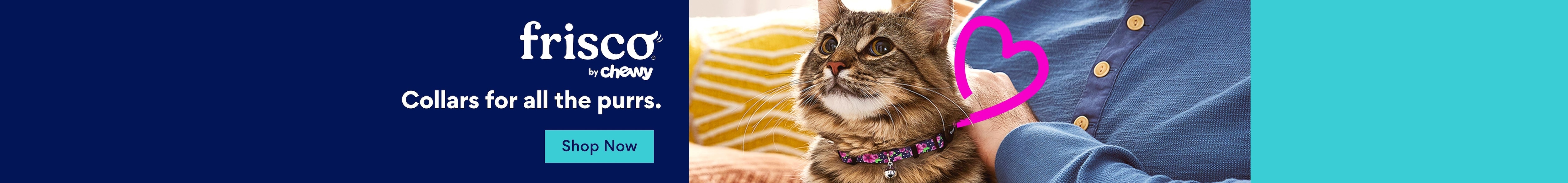 Frisco by Chewy. Collars for all the purrs. Shop now.