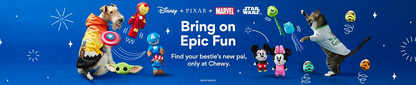 Bring on epic fun. Find your bestie's new pal, only at Chewy.