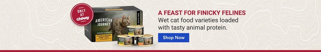 Only at Chewy A feast for finicky felines wet cat food varieties loaded with tasty animal protein. Shop now