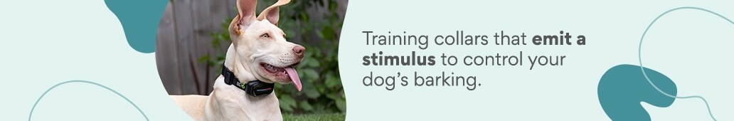 training collars that emit a stimulus to control your dog's barking