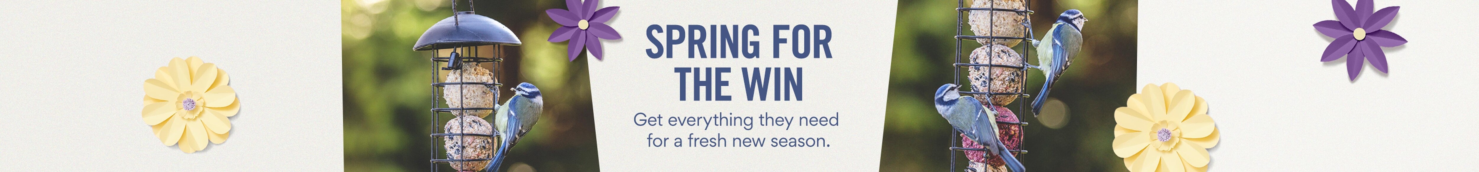 Spring For the Win: Get Everything they need for a fresh new season