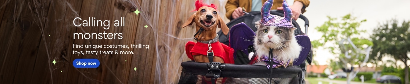 Shop Halloween toys, treats, and costumes for your pet