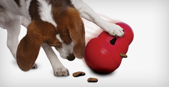 Pet Supplies : KONG Wobbler Treat Dispensing Dog Toy ( 2 Pack) 