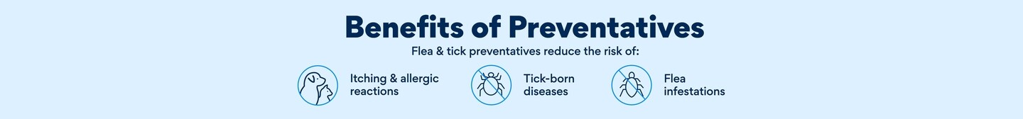 Benefits of Preventatives. Flea & tick preventatives reduce the risk of: Itching and allergic reactions. Tick-born diseases. Flea infestations.
