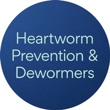 Dog Heartworm
