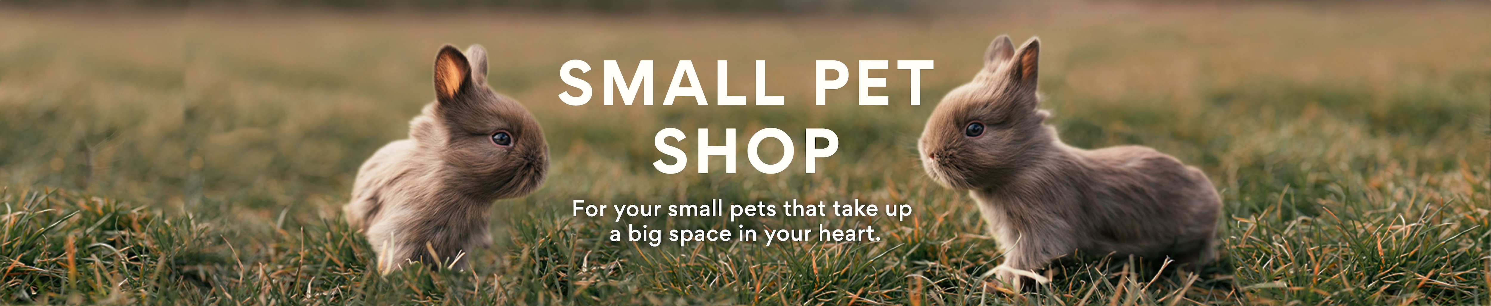 Small Pet Shop. For your small pets that take up a big space in your heart.