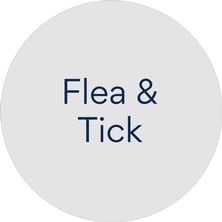 Cat Prescription Flea & Tick