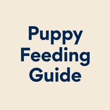 Puppy Feeding Guide