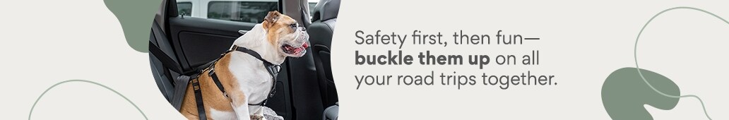 Safety fist, then fun--buckle them up on all your road trips together.