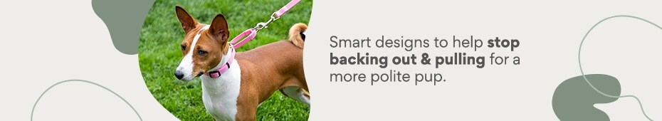 Smart designs to help stop backing out & pulling for a more polite pup.