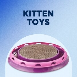 Kitten Toys