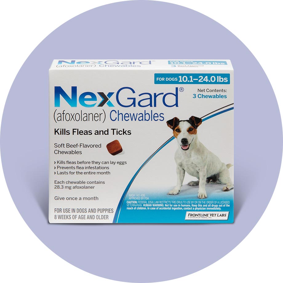 can nexgard kill my dog