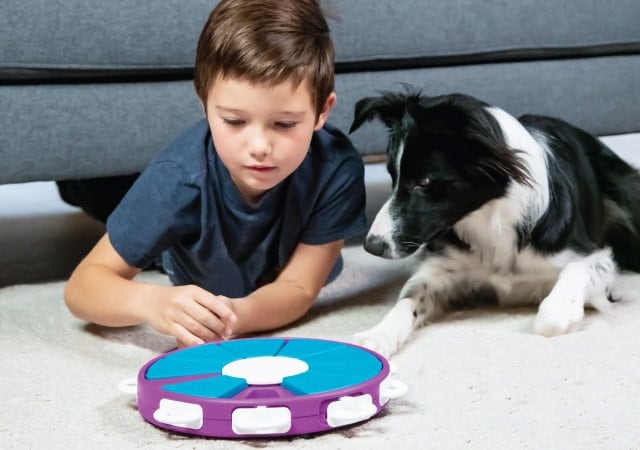 Outward Hound Nina Ottosson Interactive Puzzle Game Dog Toys – Pet Friendly  Rugs