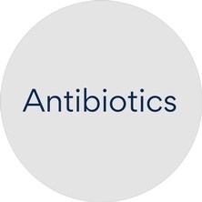 Cat Prescription Antibiotics
