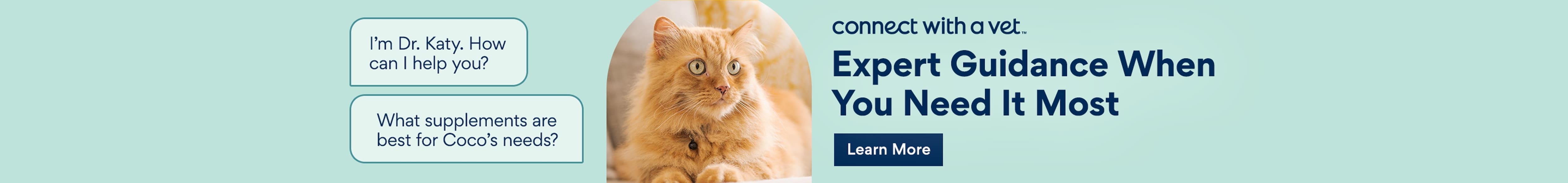 Connect with a Vet. Expert guidance when you need it most.