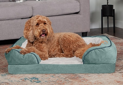 Furhaven Pet Dog Bed Available in Multiple Colors & Styles Orthopedic Plush Faux Fur & Suede Sofa-Style Traditional Living Room Couch Pet Bed w/Removable Cover for Dogs & Cats 