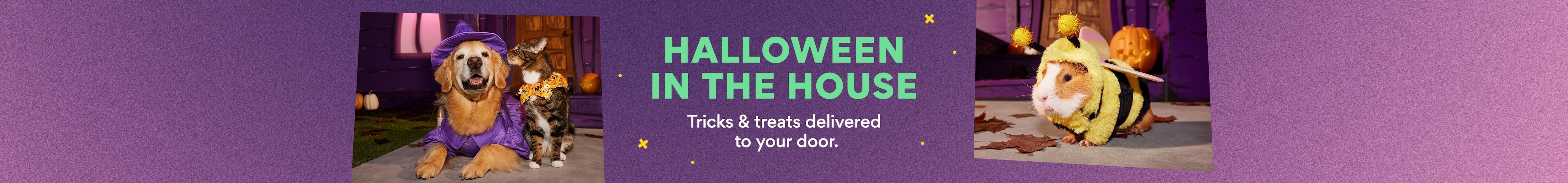 halloween in the house. tricks and treats delivered to your door