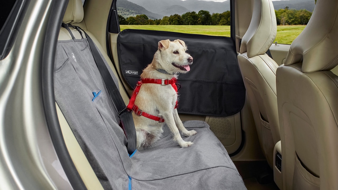 KURGO Direct to Seatbelt Dog Collar Tether, Coastal Blue 