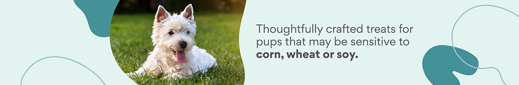 Thoughtfully crafted treats for pups that may be sensitive to corn, wheat or soy.