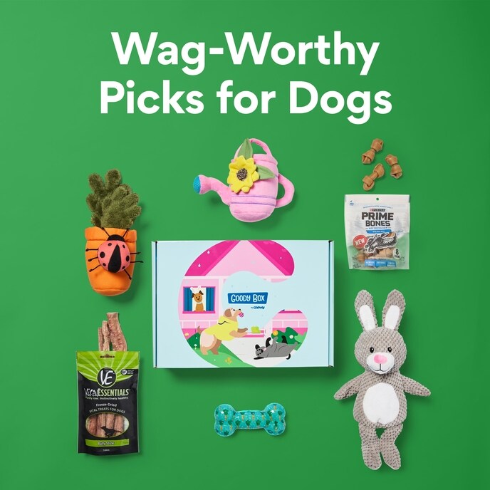 Wag-Worthy Picks for Dogs
