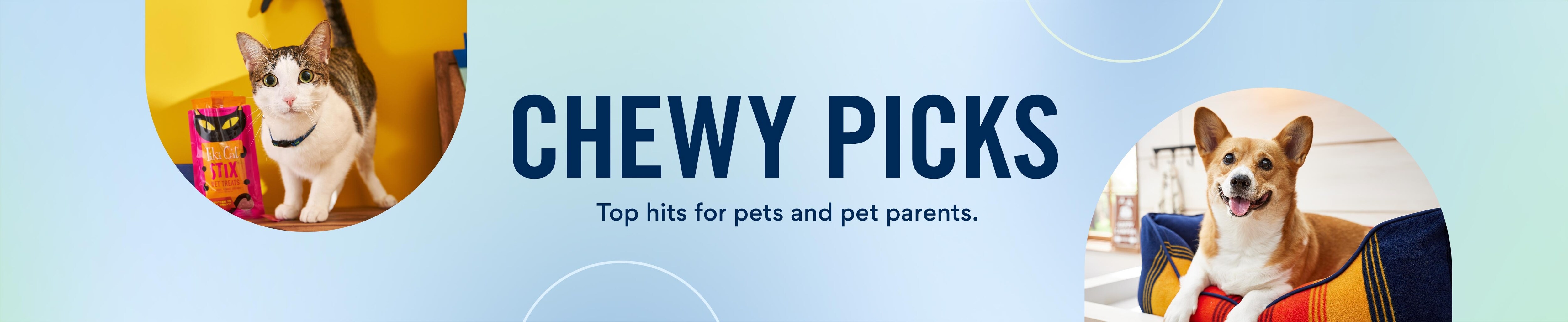 chewy picks. top hits for pets and pet parents