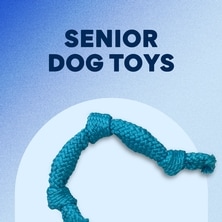 Luxury Dog Toys，Chewy DOG CHEW TOY，Dog Fashion Squeak Toy