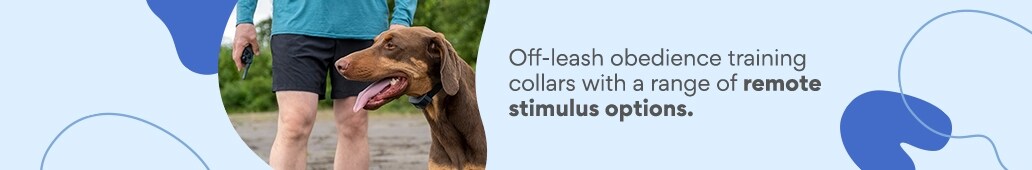 Off-leash obedience training collars with a range of remote stimulus options.