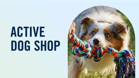 Chewy Picks: The Best Pet Gifts, New Products & More (Free