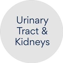 Cat Prescription Urinary Tract & Kidneys